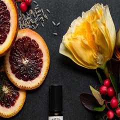 Interior Painters in Belmont: Top Rated Residential Painting