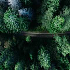 Top Rated Interior Painters in Belmont