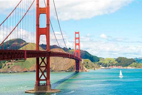 Local Painters Dee Why: Trusted Painting Services