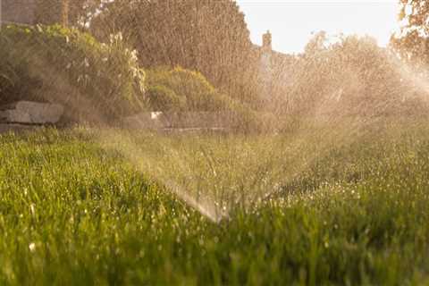 Why Seasonal Timing Matters More Than Lawn Products