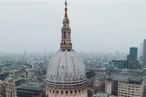 Local Painting Contractors for Businesses