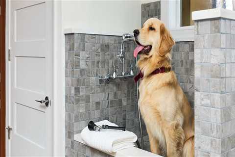 Essential Guide to Preparing Your Family and Pets for a Home Renovation Project