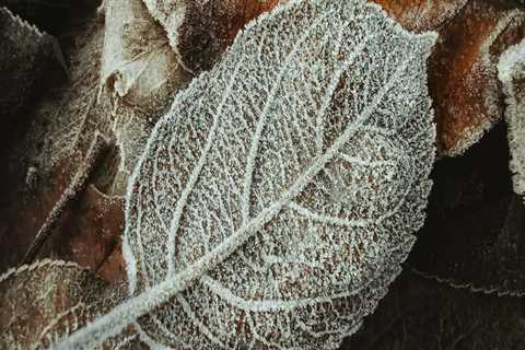 Tips for Hiring Professional Painters