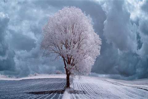 Best Options for Interior Painters in Belmont