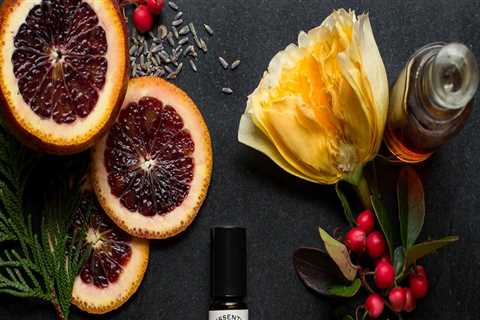 Interior Painters in Belmont: Top Rated Residential Painting