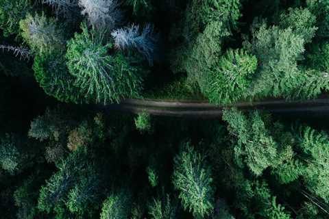 Top Rated Interior Painters in Belmont