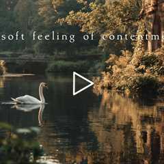 A soft feeling of contentment | Piano Playlist