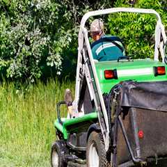Expert Lawn Mowing and Outdoor Pest Control in Northern Virginia