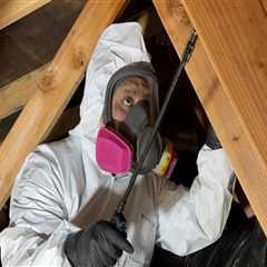 Protect Your Home with Flood Restoration & Pest Control in Beaverton