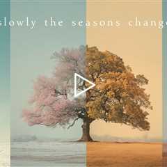 Slowly the seasons change | Piano Playlist