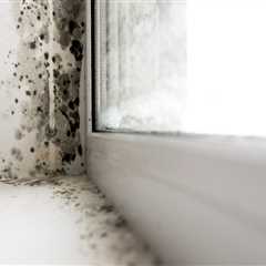 How Proper Insulation Can Help Reduce the Risk of Mold Growth