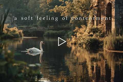 A soft feeling of contentment | Piano Playlist
