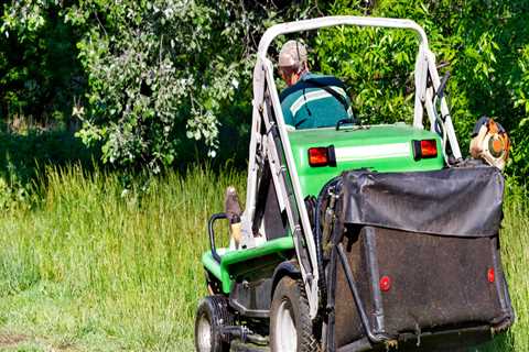 Expert Lawn Mowing and Outdoor Pest Control in Northern Virginia