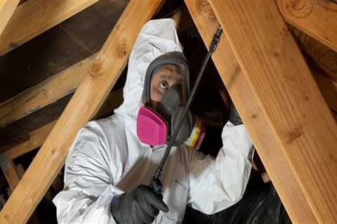 Protect Your Home with Flood Restoration & Pest Control in Beaverton