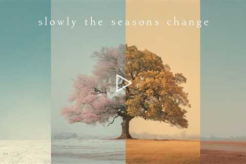 Slowly the seasons change | Piano Playlist