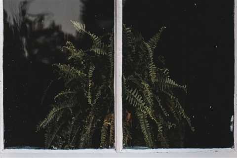 Brighten Your Home with Expert Mold Inspection & Window Cleaning