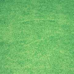 Transform Your Home with Expert Lawn Care in Ashburn