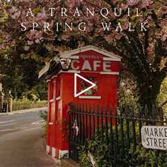 A tranquil spring walk | Piano Playlist