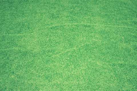 Transform Your Home with Expert Lawn Care in Ashburn