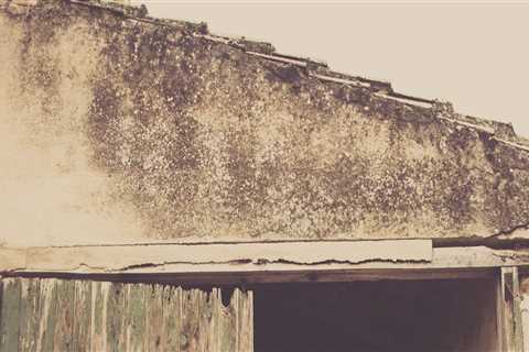 Elevate Curb Appeal with Expert Garage Doors & Landscaping