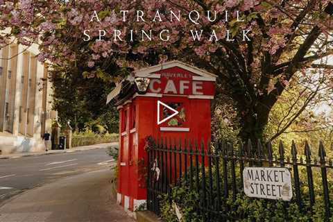 A tranquil spring walk | Piano Playlist