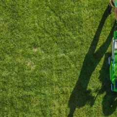 Why You Should Book Lawn Care Services Before the Movers Show Up