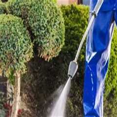 Creating a Cleaner Landscape with Tree Pruning and Pressure Washing Services