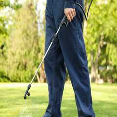 From Yard Cleanup to Prevention: DIY Pest Control Made Easier