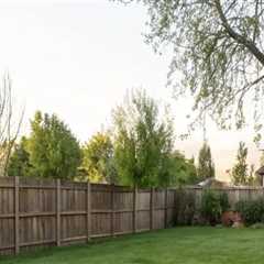 Lawn Care Insights for Achieving a Lush and Even Lawn