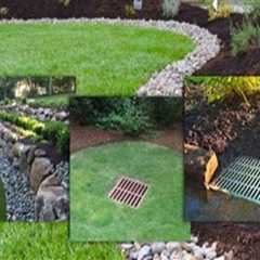 How Landscape Contractors Improve Yard Health Through Better Drainage
