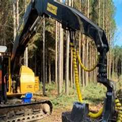 Forestry Equipment Solutions That Complement Modern Plumbing Systems