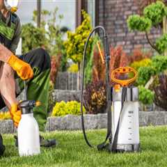Preparing Your Yard With Organic Pest Control Products Before Bounce House Rentals
