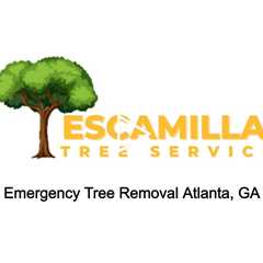 Emergency Tree Removal Atlanta, GA - Escamilla Tree Service - (404) 426-8613