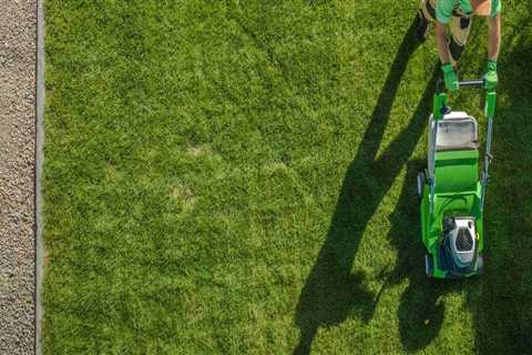 Why You Should Book Lawn Care Services Before the Movers Show Up