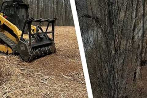 Creating a Cleaner Landscape with Forestry Mulching and Pressure Washing Services