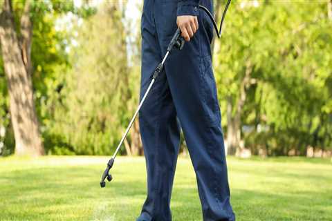 From Yard Cleanup to Prevention: DIY Pest Control Made Easier