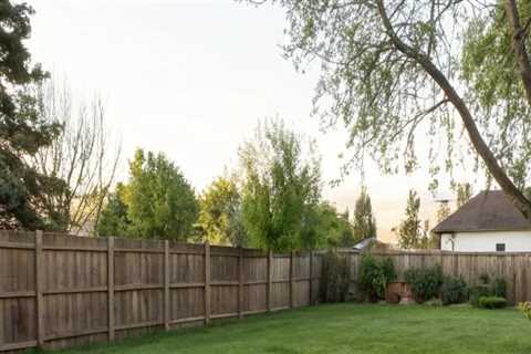 Lawn Care Insights for Achieving a Lush and Even Lawn