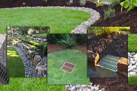 How Landscape Contractors Improve Yard Health Through Better Drainage