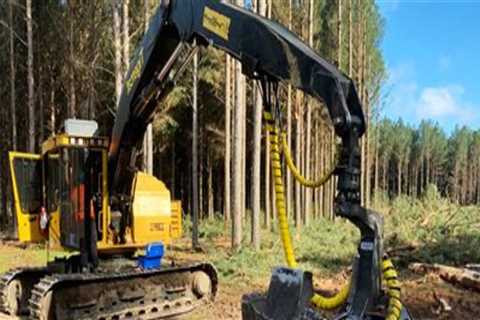 Forestry Equipment Solutions That Complement Modern Plumbing Systems