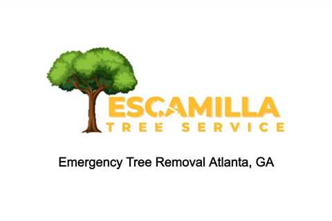 Emergency Tree Removal Atlanta, GA - Escamilla Tree Service - (404) 426-8613