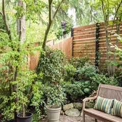 Enhancing Privacy Through Thoughtful Landscape Renovation