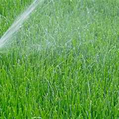 Optimal Timing for Watering Your Turf: A Guide to Effective Turf Management