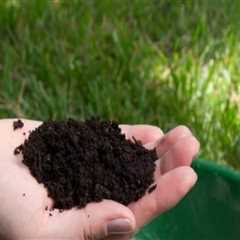Essential Considerations for Choosing the Right Fertilizer in Turf Management