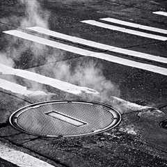 How Lawn Care Concerns Can Reveal the Need for Trenchless Sewer Line Repair in Livermore, CA