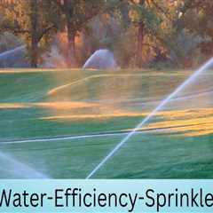 The Link Between Sprinkler Systems and Overall Water System Health
