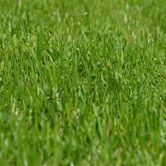 Lawn Care in Oregon: Improving Outdoor Spaces with Hardscaping and Reliable Maintenance