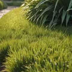 The Hidden Challenges of Using Grass Seed on Sloped Residential Landscapes
