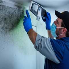 Why Mold Inspection Is Becoming a Key Step in Modern Property Improvement Projects