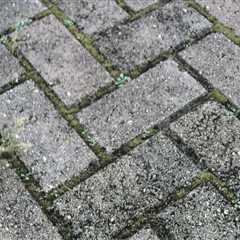 Paving Contractors in Orem, UT: Why Quality Paver Installation Matters