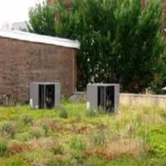 The Rarely Discussed Impact of Roofing Runoff on Landscape Design and Plant Health